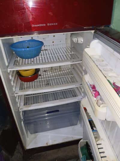 full size fridge Orient full glass