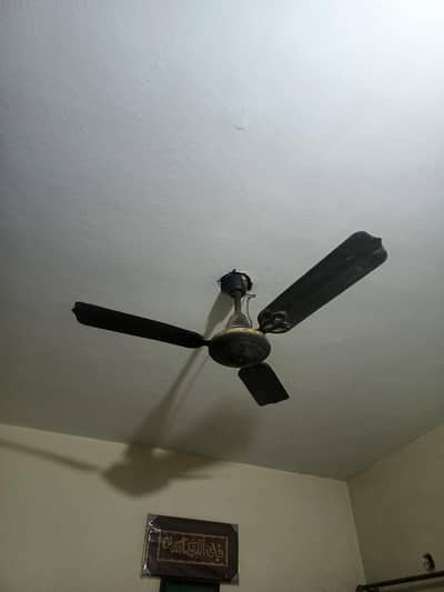 5 fans for sale copper