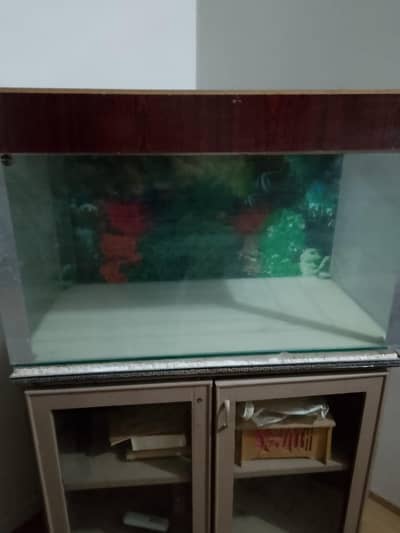 fish aquarium for sale