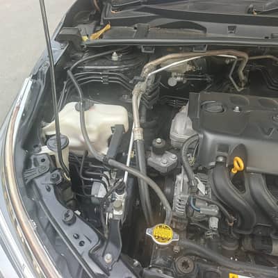 Toyota Corolla GLI 2019