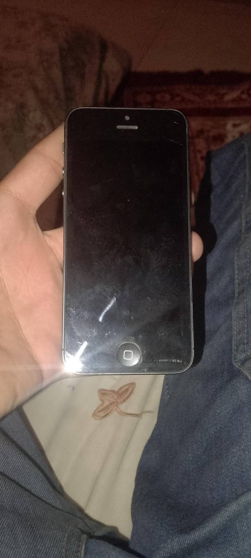 Apple iPhone 5s 1