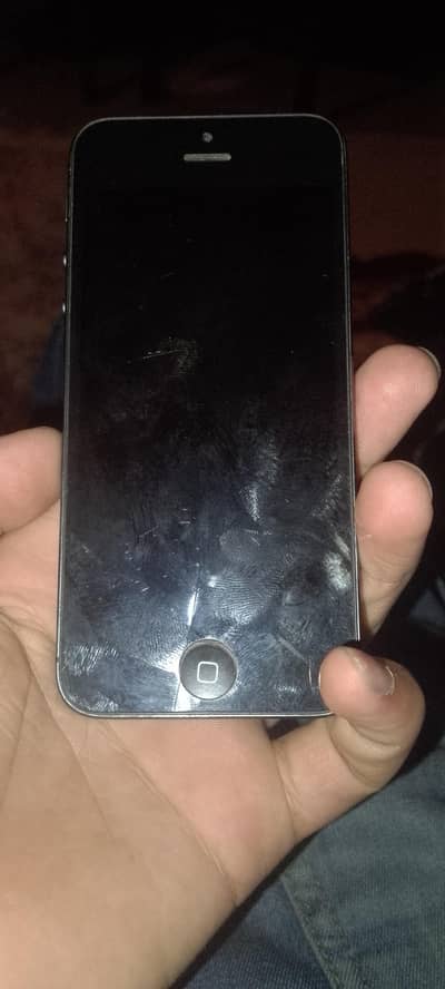 Apple iPhone 5s