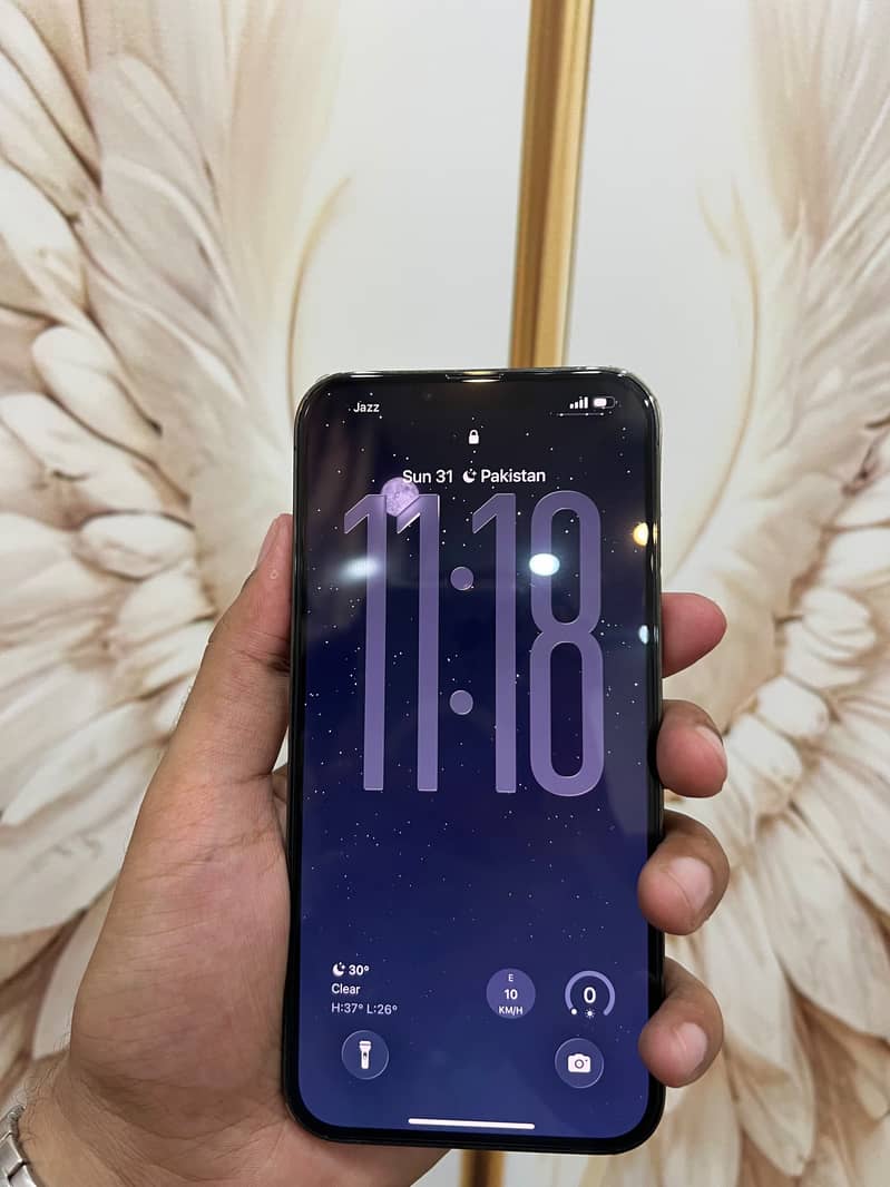 IPHONE 13 pro max 1