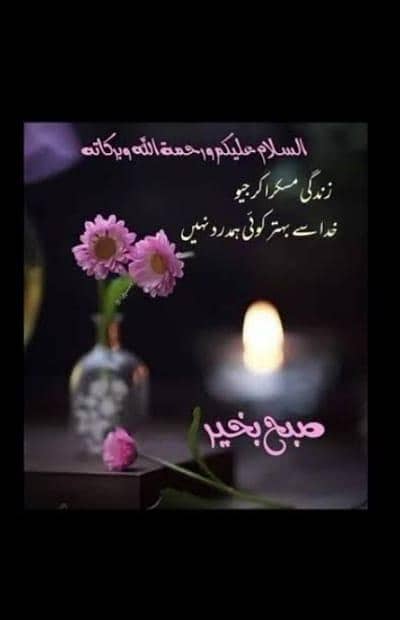 we need MBBS Doctor Male / Female