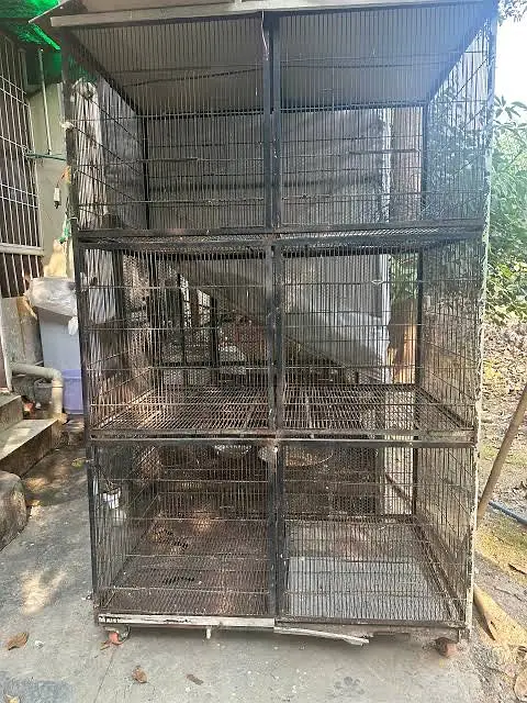 Only cages for sale argant — photo 2