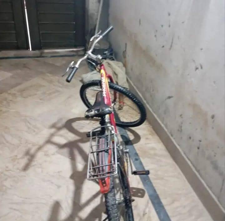 bicycle 1
