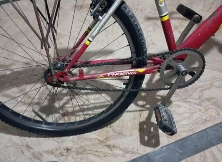 bicycle 11