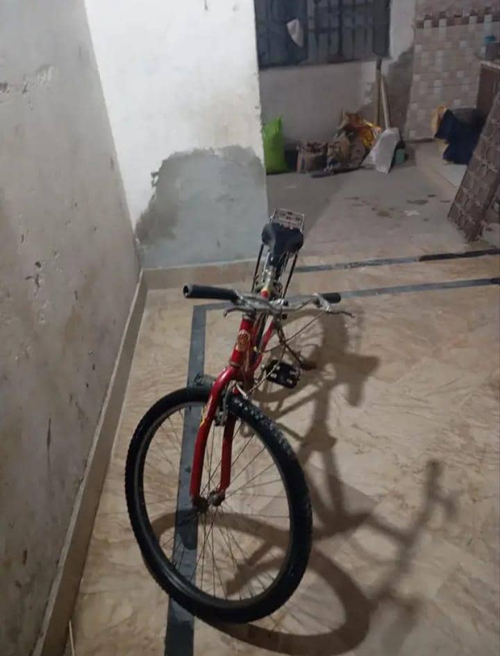 bicycle 14