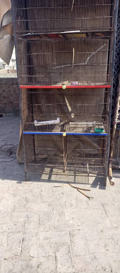 iron cage for birds