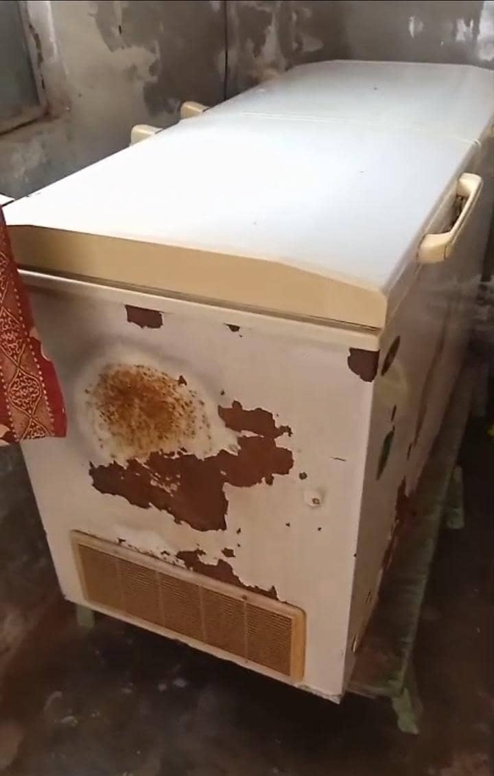 freezer 1