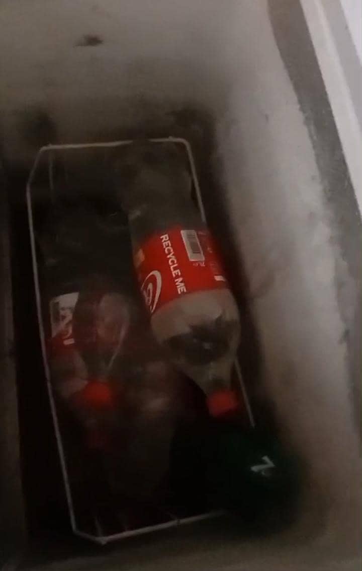 freezer 2