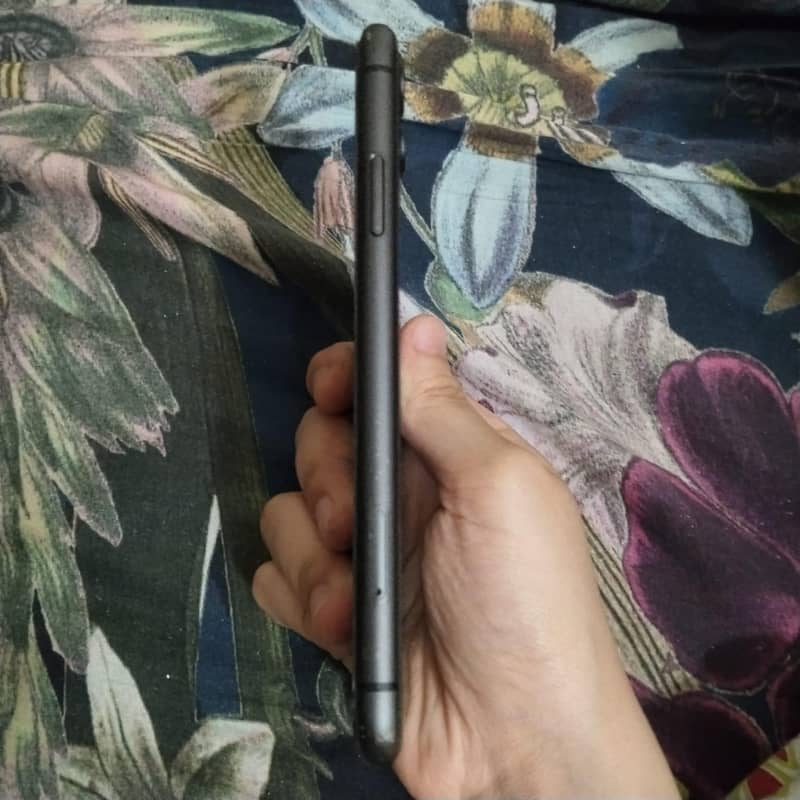 Apple iPhone 11 3