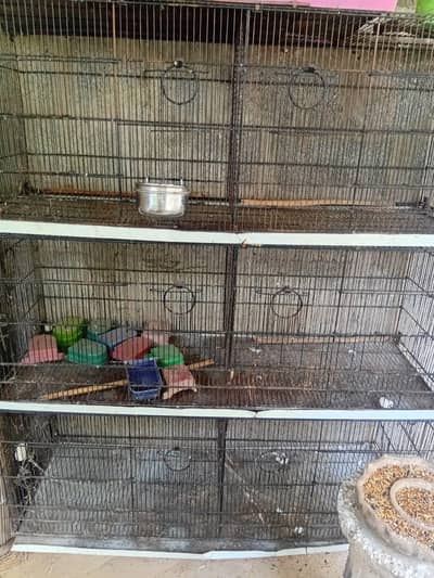 3 cages for sail  6 potion