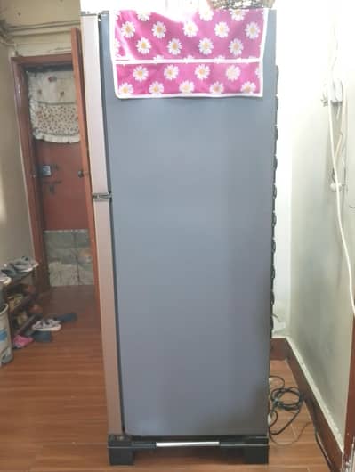 fridge two door