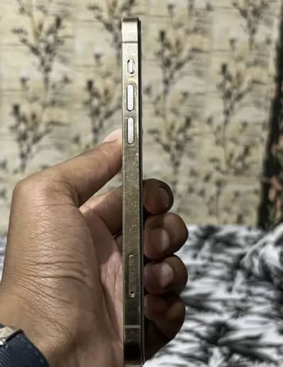 Apple iPhone 12 Pro