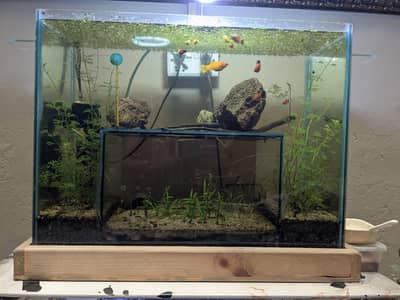 Planted aquarium for sale