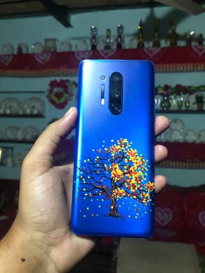 One Plus 8 Pro