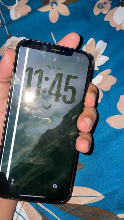 Apple iPhone 12 Pro Max