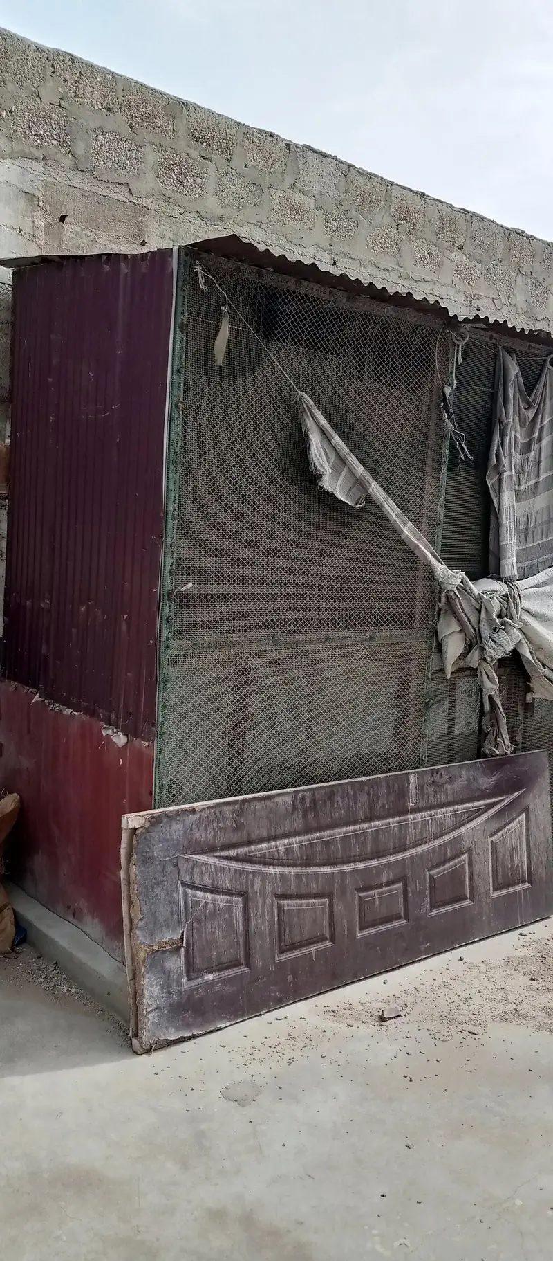 Master cage — photo 3