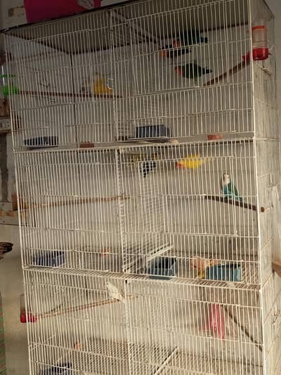 8 portion Cage for Sale