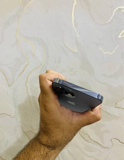 Apple iPhone 13 Pro Max pta