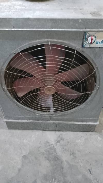 Lahore coolor large size peure couper motor new chick