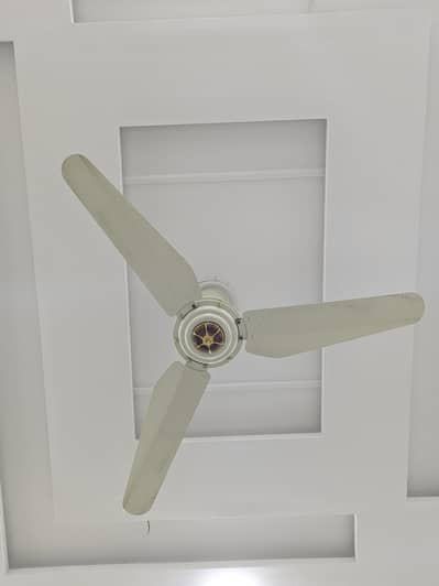 Pak fan 120 watt