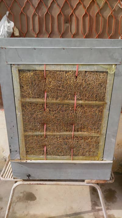 12v DC cooler 1 season used