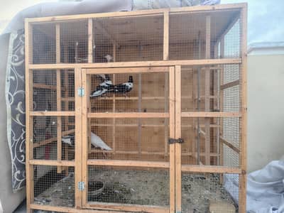 cage for sell