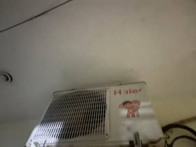 haeir