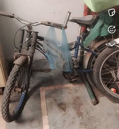 Racing cycle
