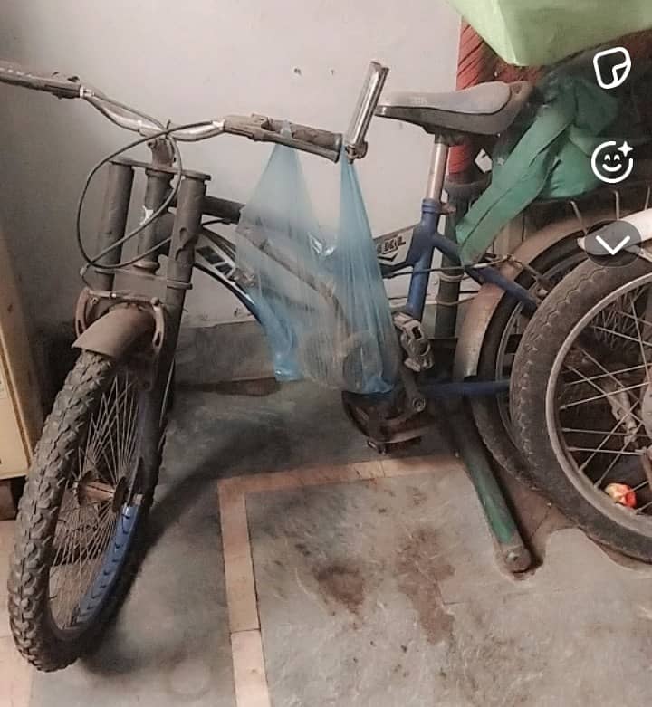 Racing cycle 0