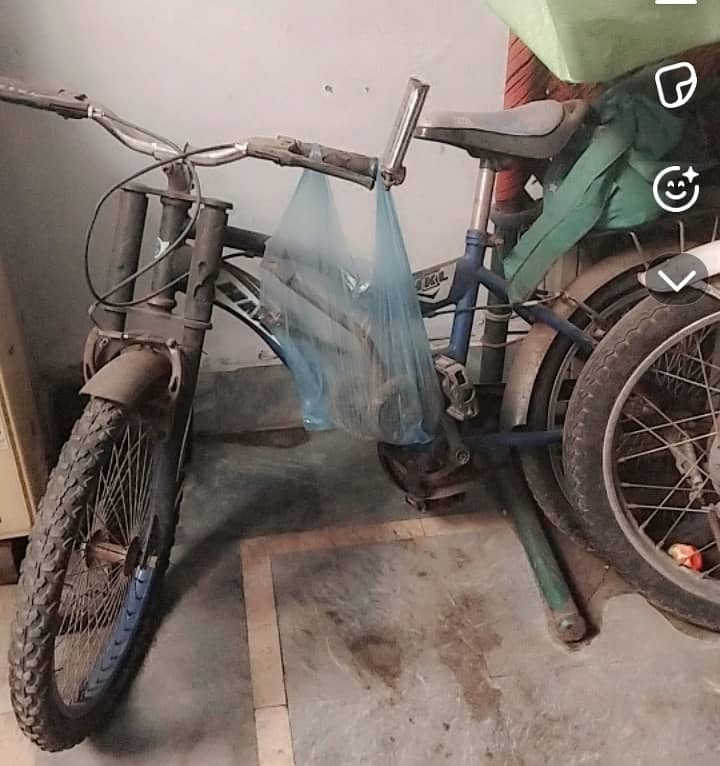 Racing cycle 1