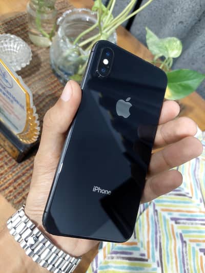 Apple iPhone X