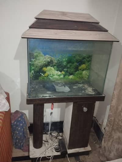 aquarium