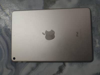Ipad mini 5  64Gb