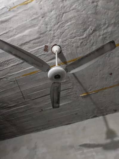 fan for sall