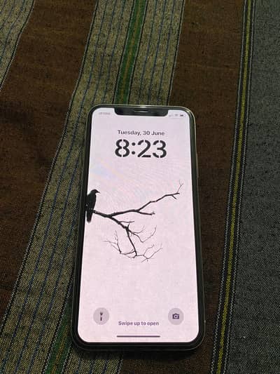 Apple iPhone X