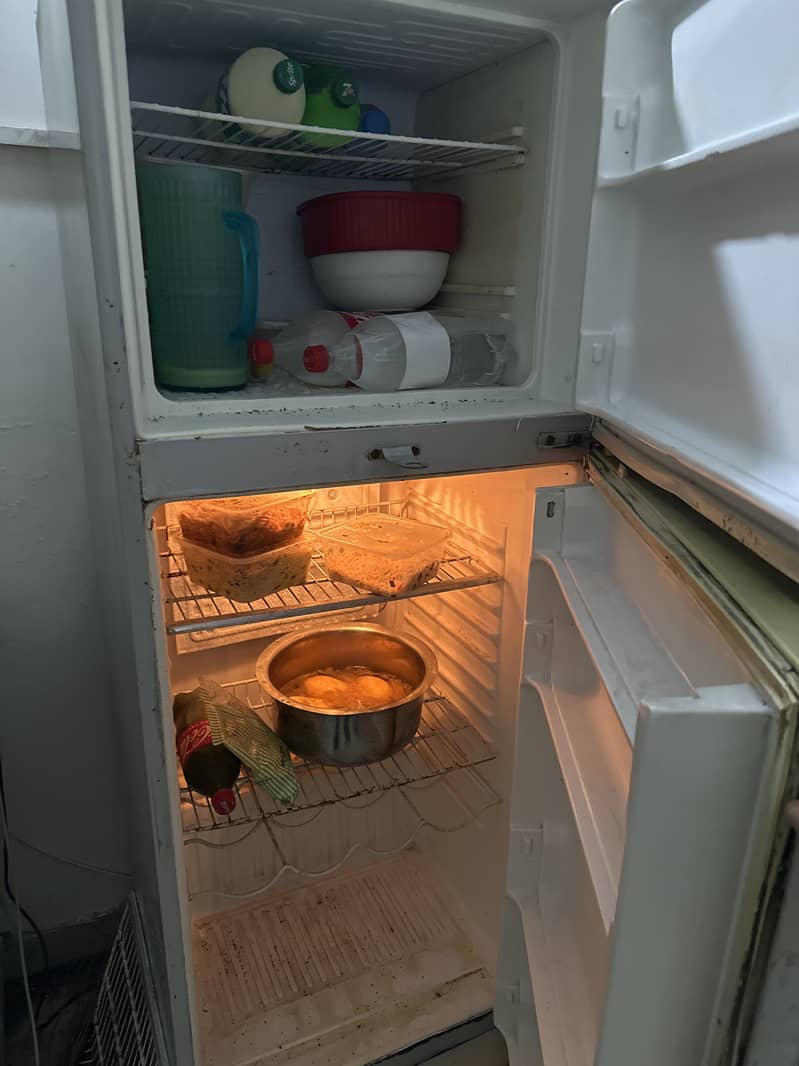 Waves Refrigerator 1