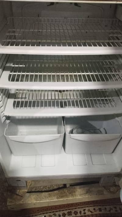 pel fridge
