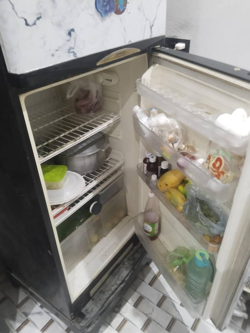 Fridge 1