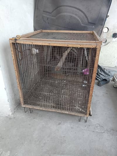 pingra for sale 03220840723
