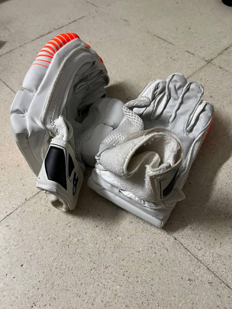 Cricket kit 3