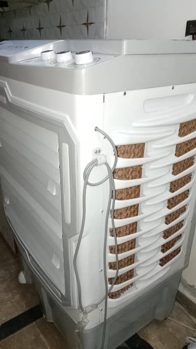 new 10 by 10 condition only 15 days used good looking