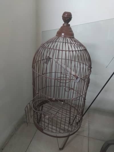Cage for sale