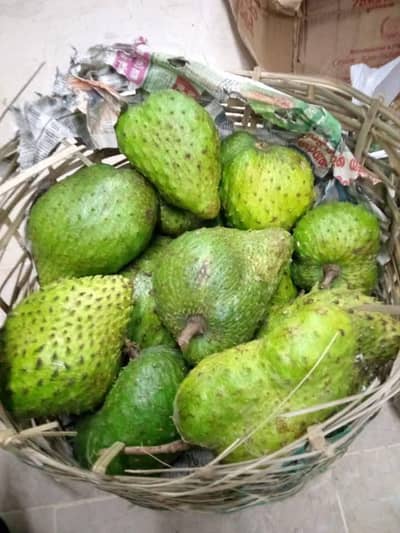soursope fruit