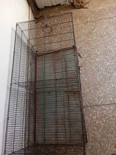 iron cage