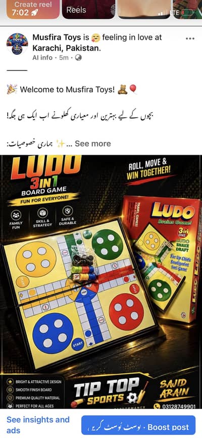 Magnetic ludo