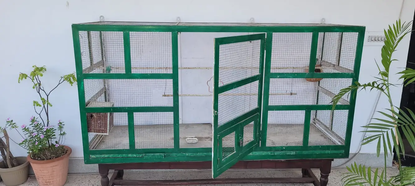 Large Bird Cage 6ft x 2ft | Wall Mount | 2 Trays | Iron Cage