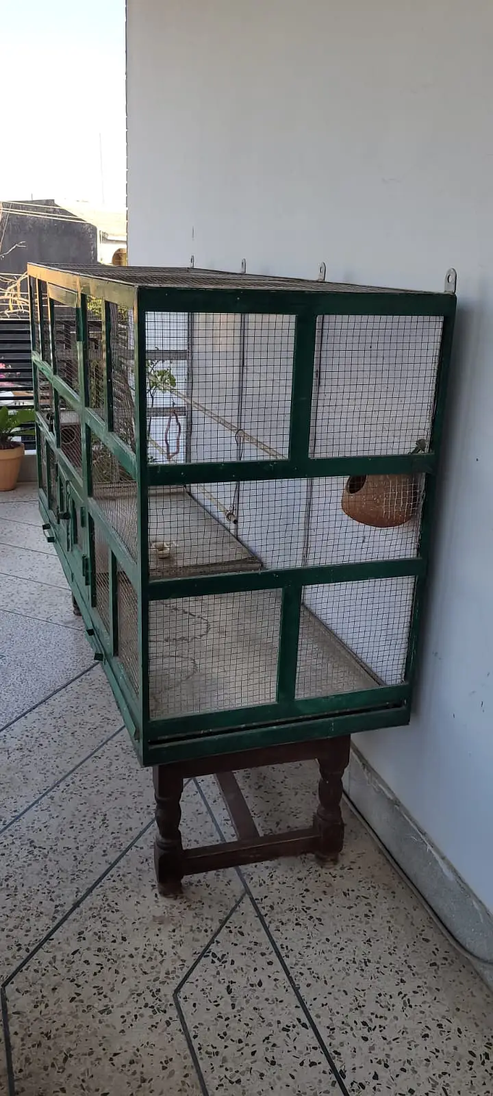Large Bird Cage 6ft x 2ft | Wall Mount | 2 Trays | Iron Cage — photo 2